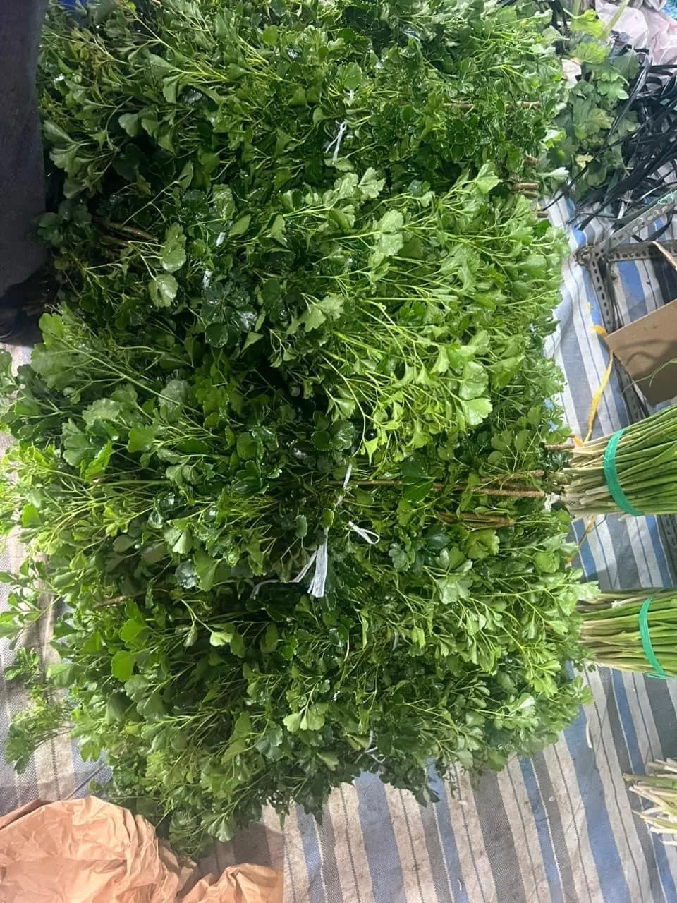 Đinh Lăng